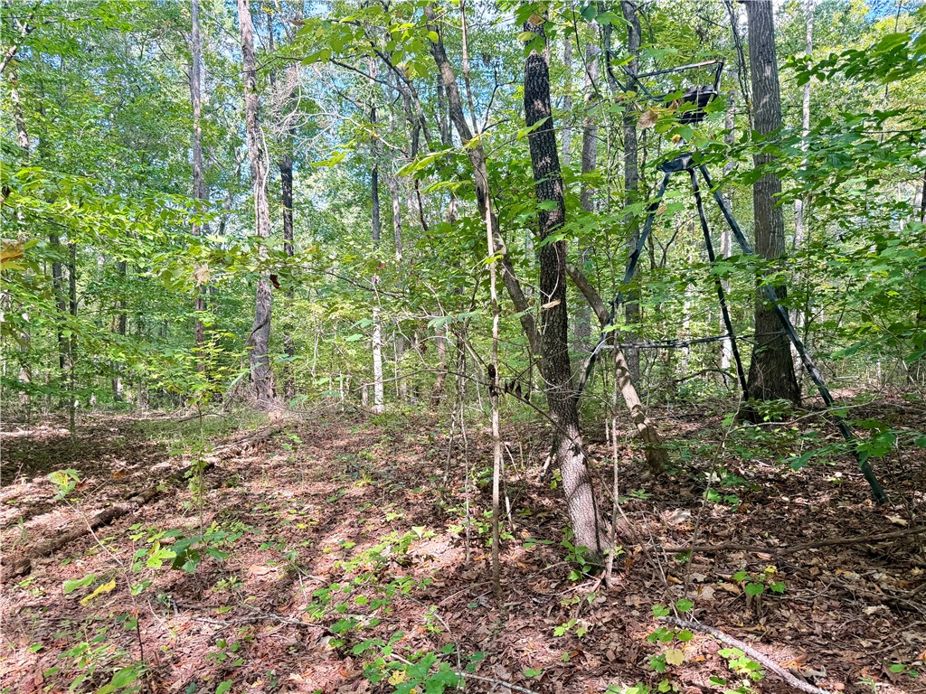 140 A Pickens Road Westminster, SC 29693 - Photo 35 of 48