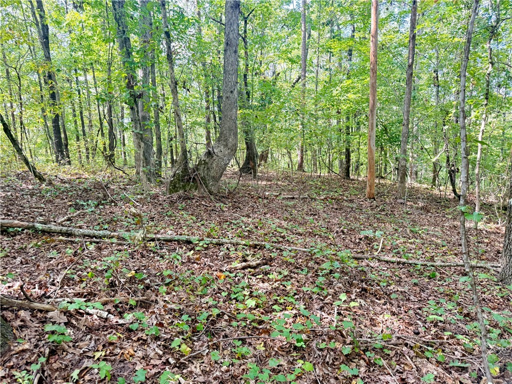 140 A Pickens Road Westminster, SC 29693 - Photo 36 of 48