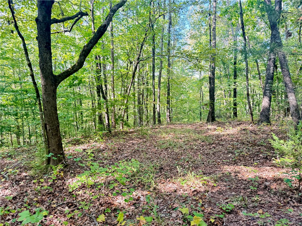 140 A Pickens Road Westminster, SC 29693 - Photo 37 of 48