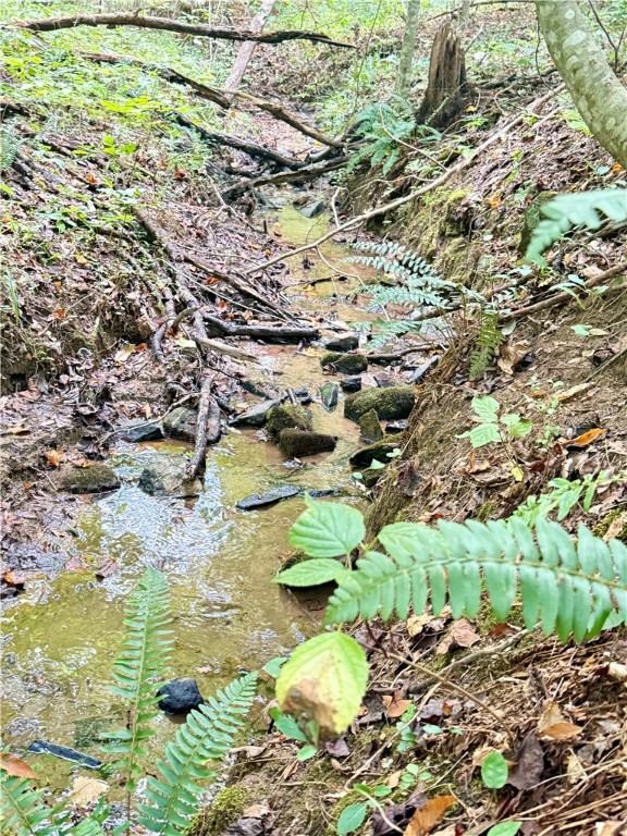 140 A Pickens Road Westminster, SC 29693 - Photo 39 of 48