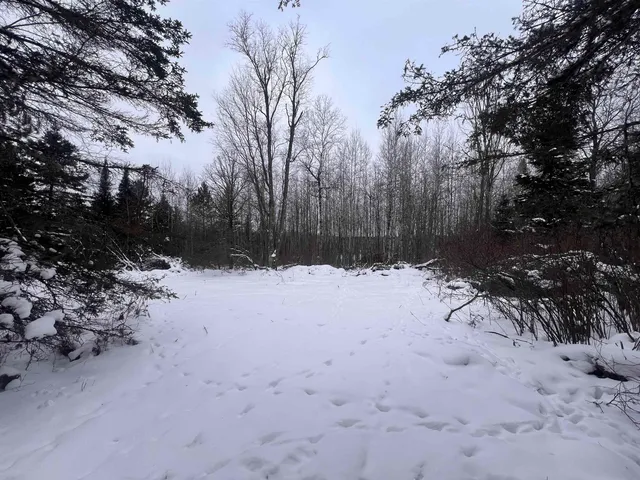 $28,500 | Dream Lake Road, Unit 4, Long Lake, WI 54542