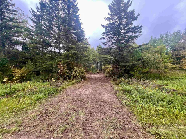 $28,500 | Dream Lake Road, Unit 4, Long Lake, WI 54542