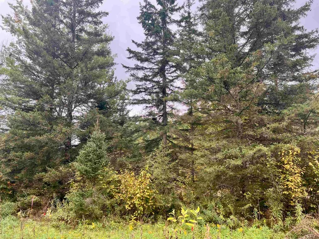 $28,500 | Dream Lake Road, Unit 4, Long Lake, WI 54542