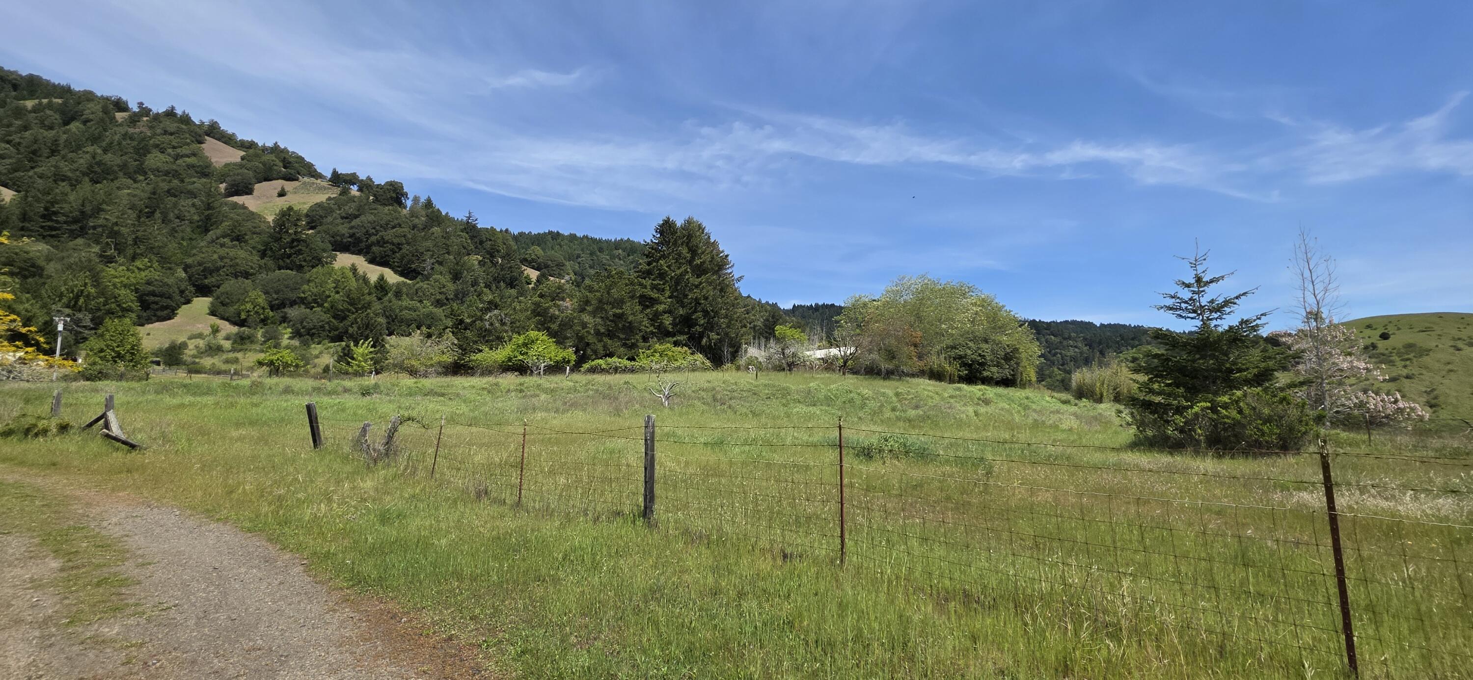 725 Old Hindley Ranch Road Petrolia, CA 95558 - Photo 24 of 33
