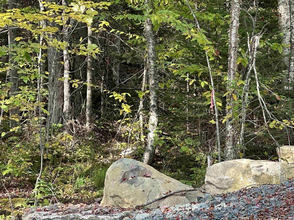 0 Us Route 2 Randolph, NH 03593 - Photo 18 of 19