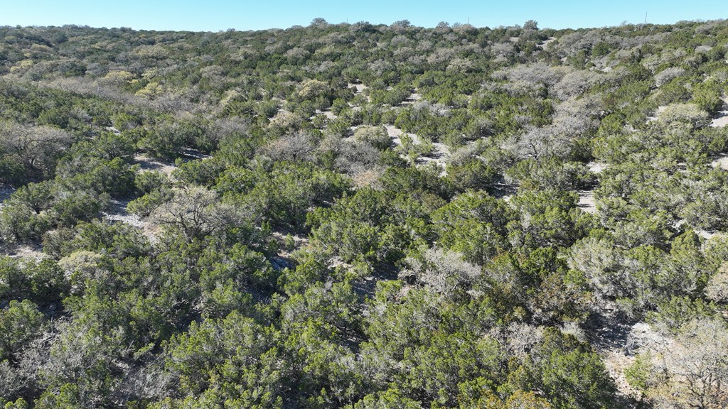 1467 Other Rocksprings, TX 78880 - Photo 3 of 8 an aerial view of houses covered in trees