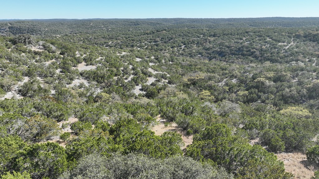 1467 Other Rocksprings, TX 78880 - Photo 4 of 8 a view of a field