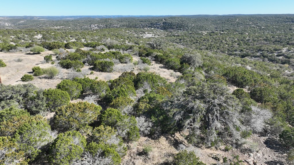 1467 Other Rocksprings, TX 78880 - Photo 5 of 8