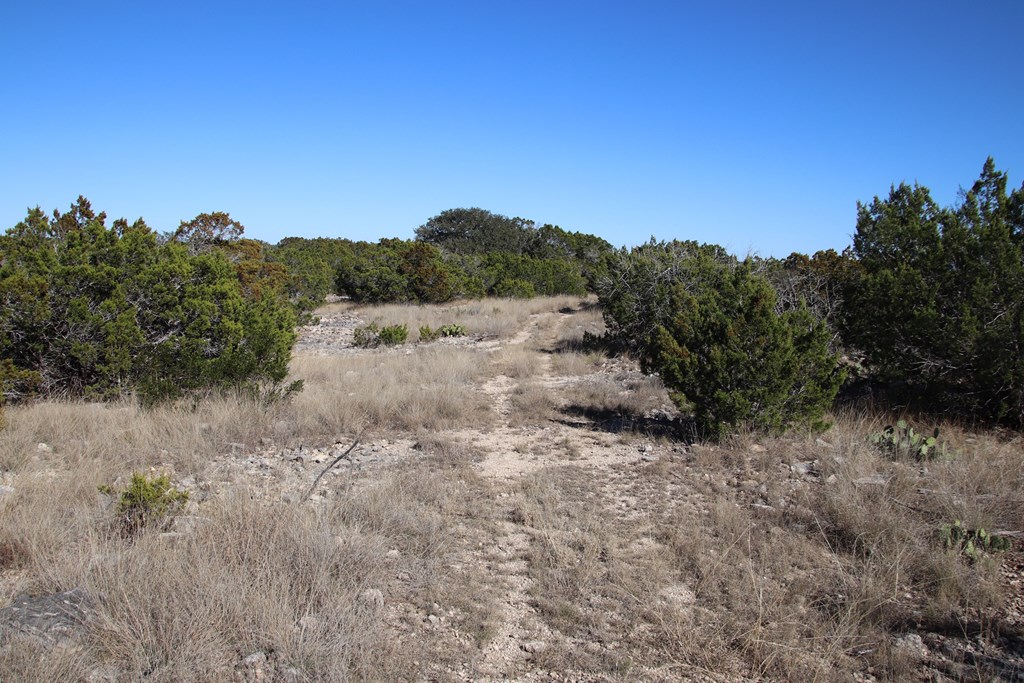 1467 Other Rocksprings, TX 78880 - Photo 6 of 8 a view of a dry yard with trees in the background