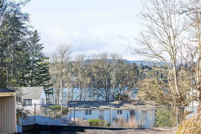 a view of a house with a yard and covered with snow