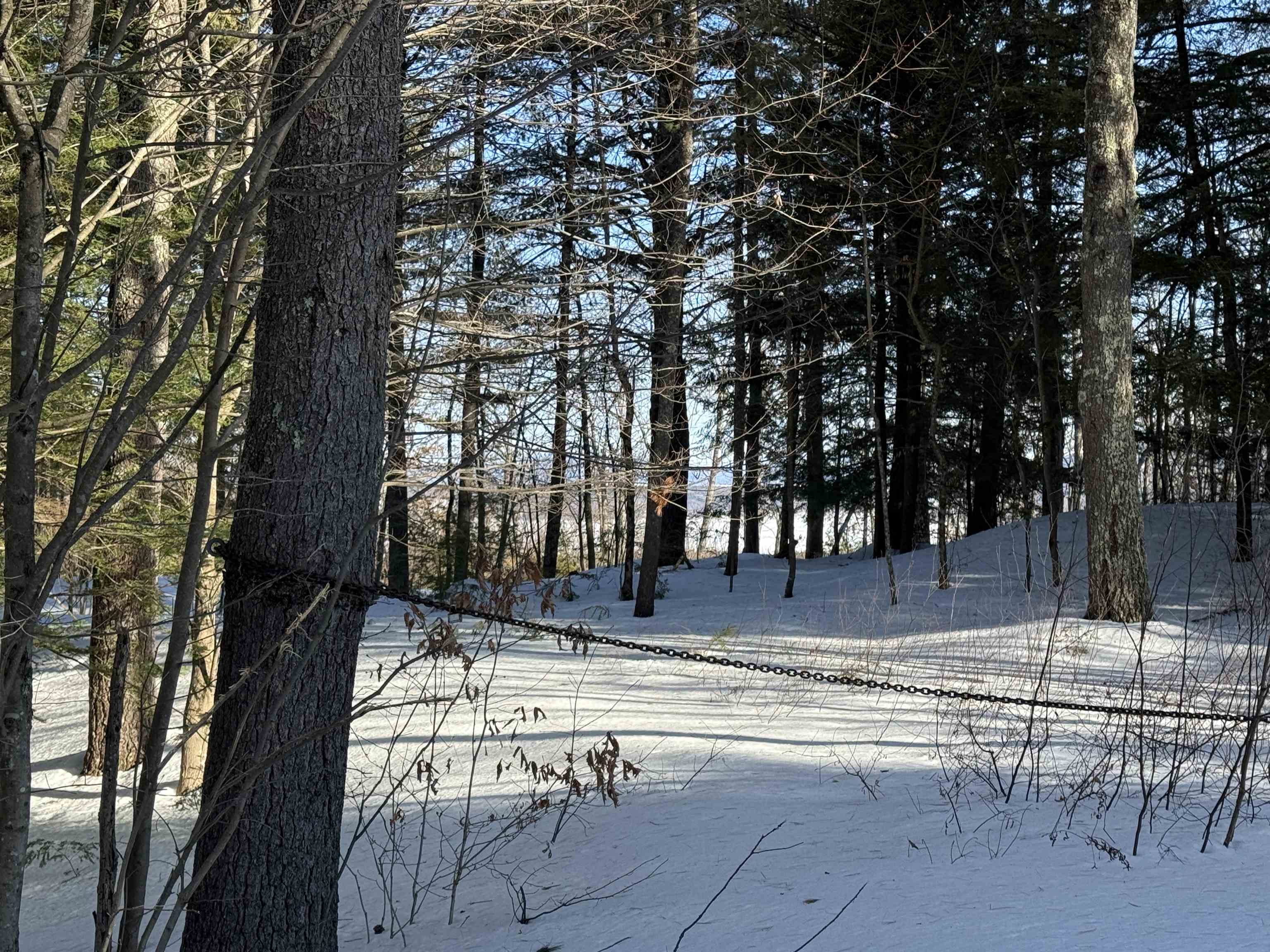 0 Tracy Way, Unit 63 Meredith, NH 03253 - Photo 15 of 19