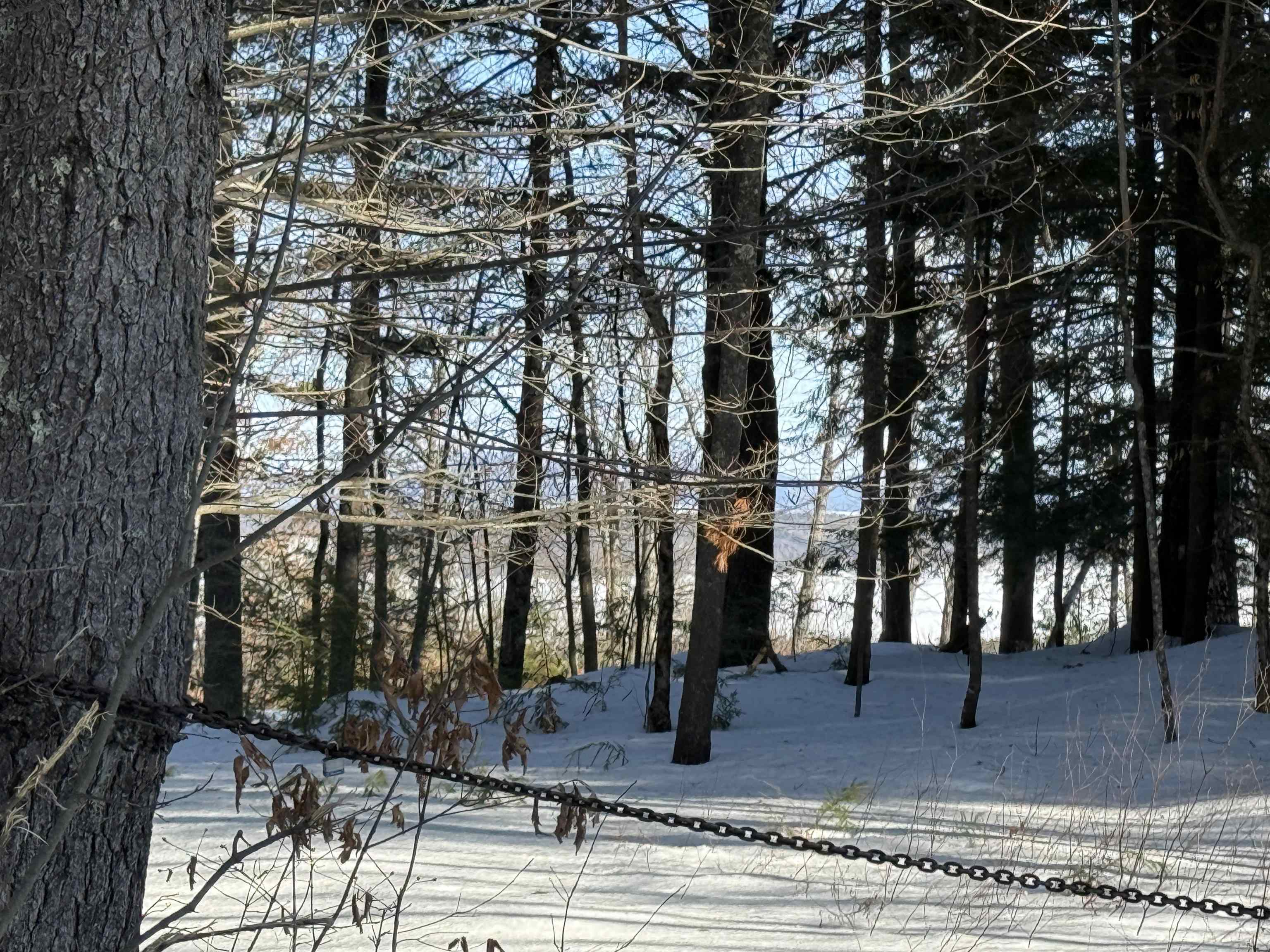 0 Tracy Way, Unit 63 Meredith, NH 03253 - Photo 16 of 19