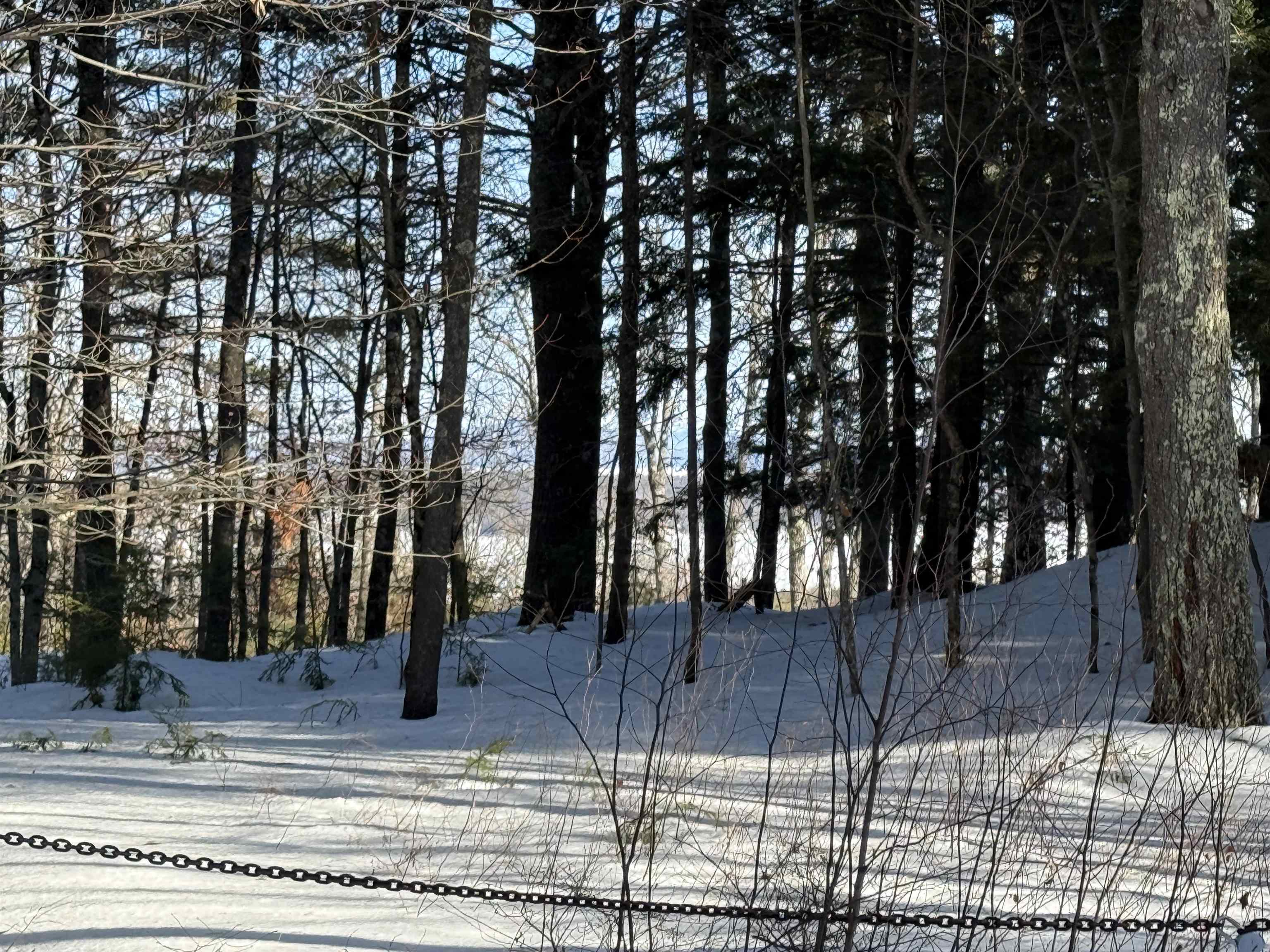 0 Tracy Way, Unit 63 Meredith, NH 03253 - Photo 17 of 19