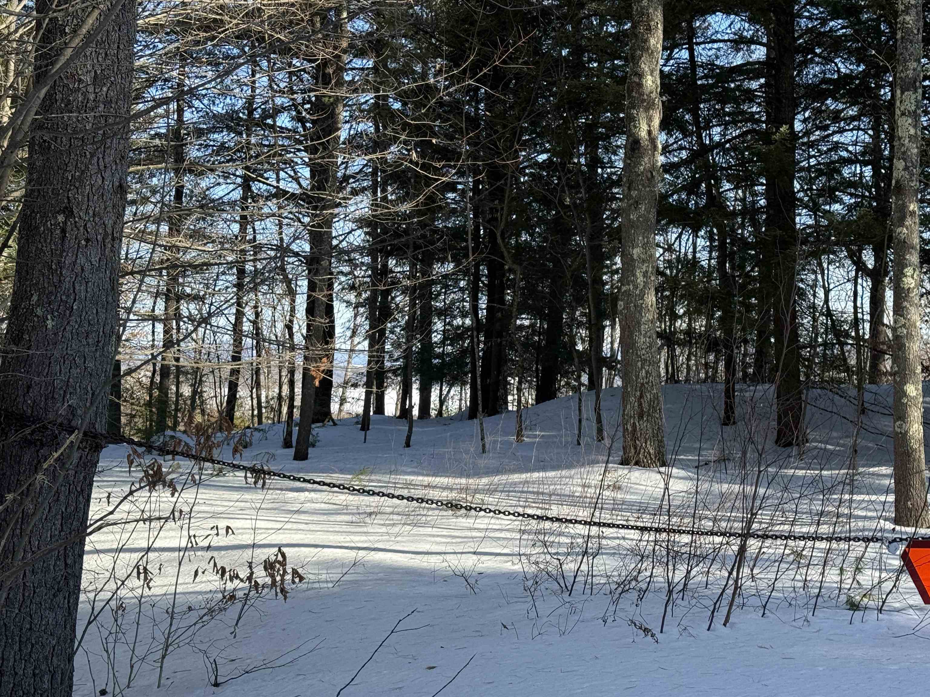 0 Tracy Way, Unit 63 Meredith, NH 03253 - Photo 18 of 19