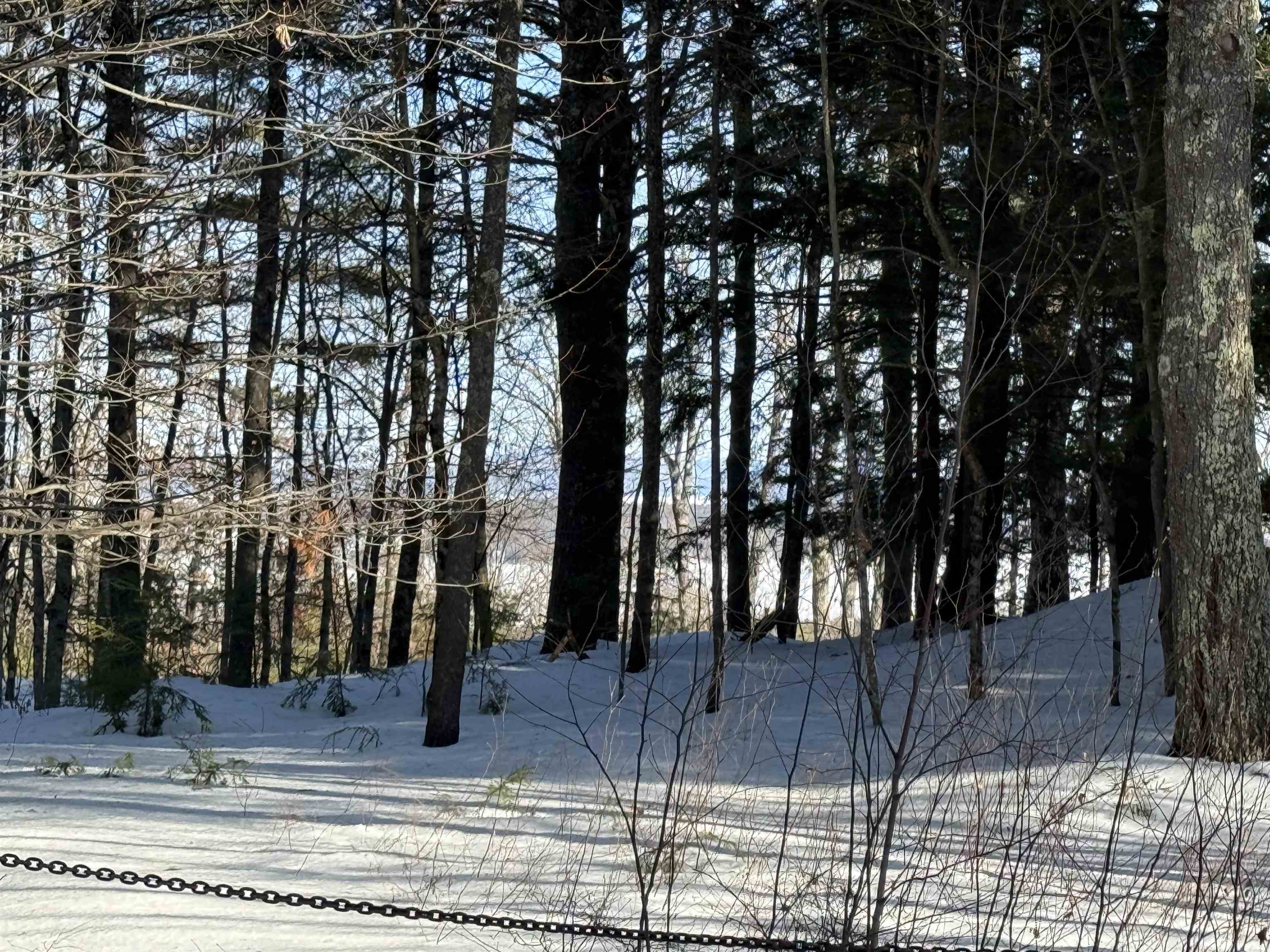 0 Tracy Way, Unit 63 Meredith, NH 03253 - Photo 19 of 19