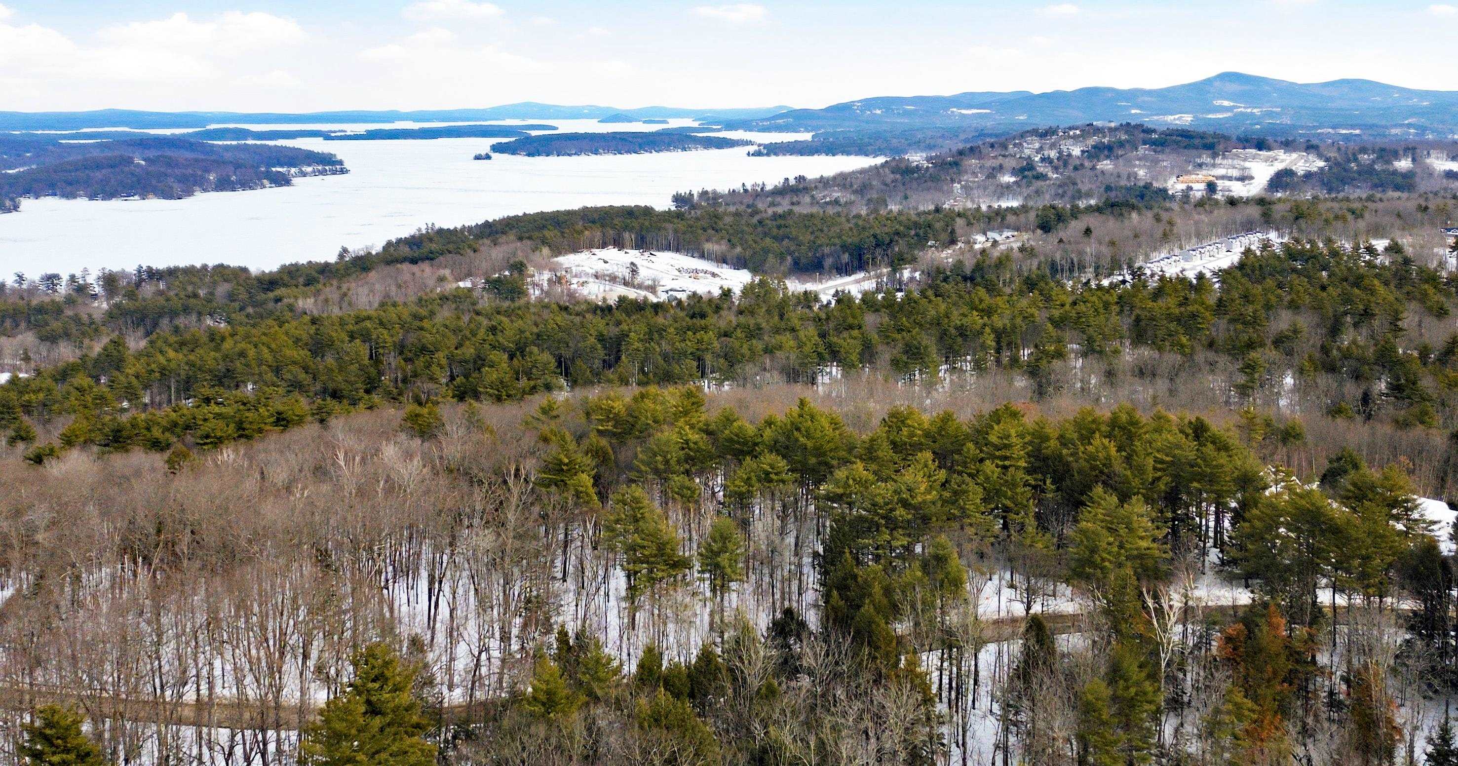 0 Tracy Way, Unit 63 Meredith, NH 03253 - Photo 5 of 19