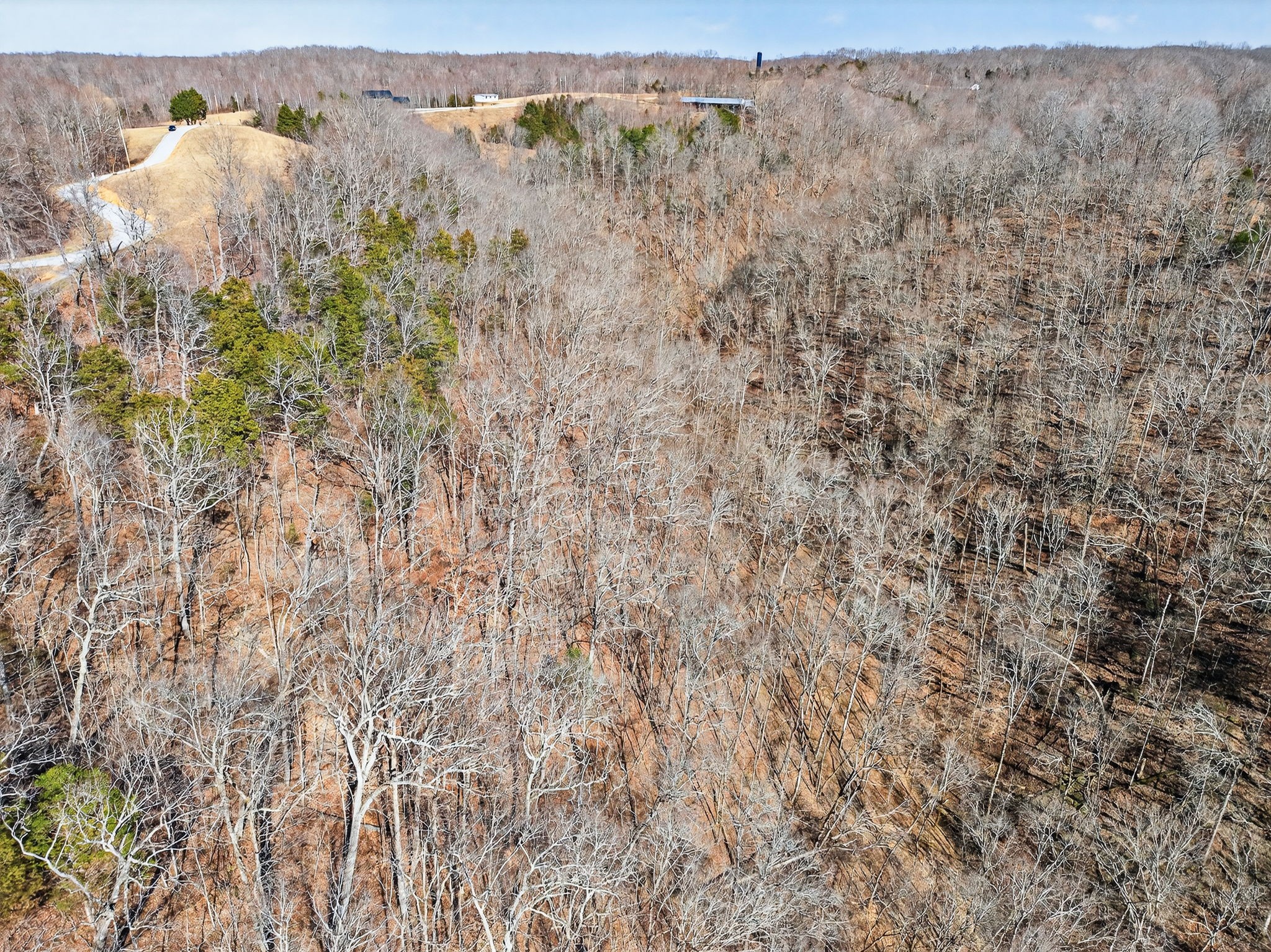 0 Terrapin Ridge Road Hilham, TN 38568 - Photo 7 of 15