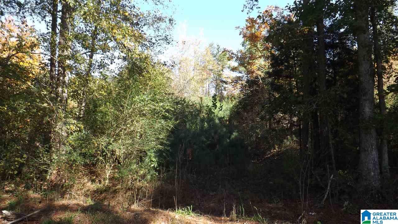 0 Highway 75, Unit 29 38 Oneonta, AL 35121 - Photo 18 of 30