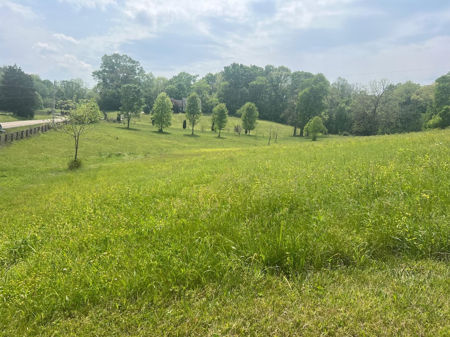 3308 Foster Chapel Road Columbia, TN 38401 - Photo 4 of 21 Gallery Image 4