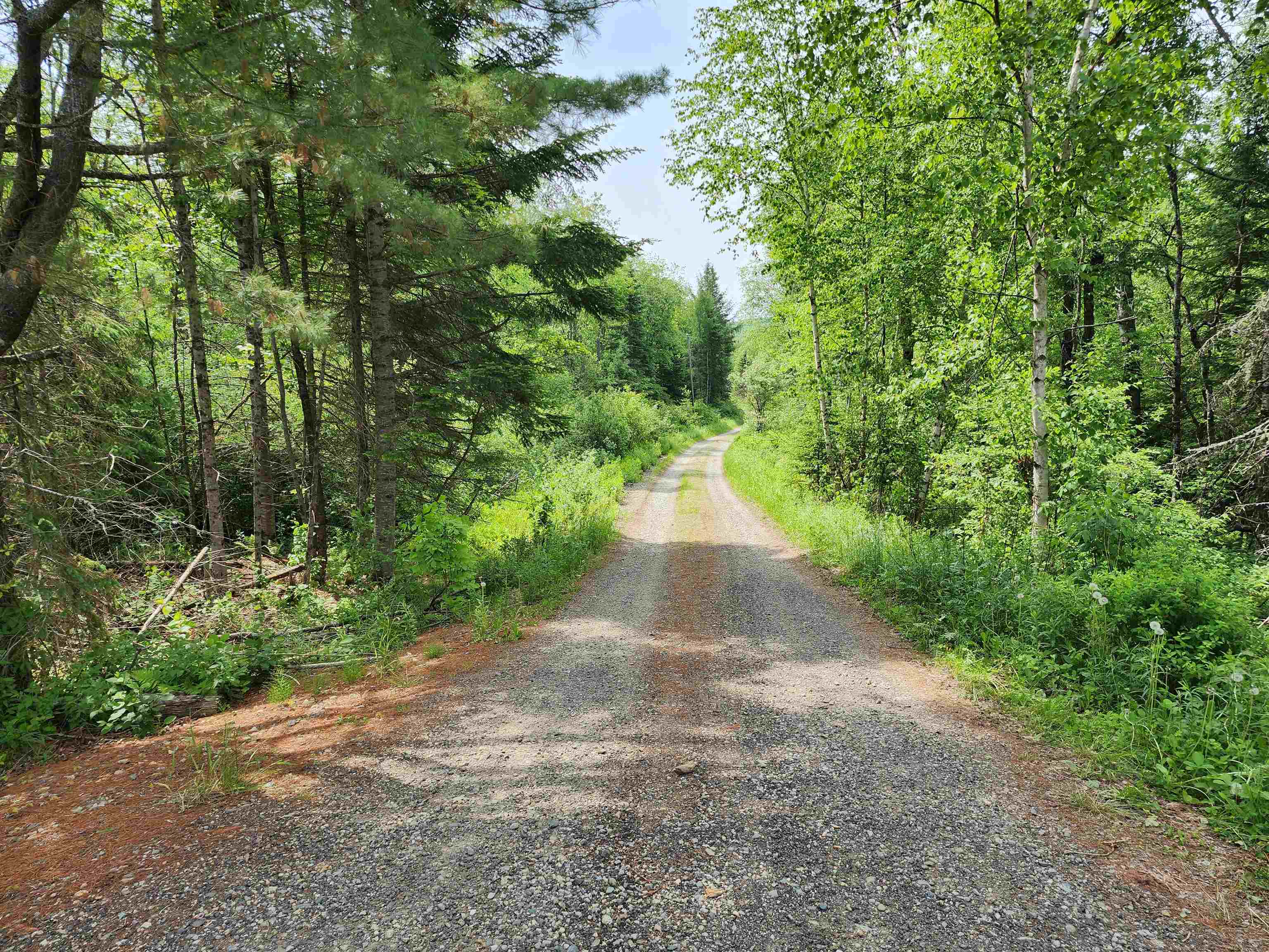 0 Boise Cascade Road Dummer, NH 03588 - Photo 16 of 17