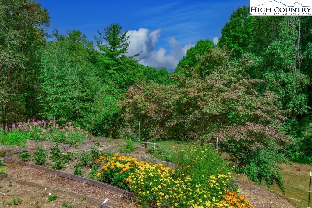 1005 Andy Hicks Road Banner Elk, NC 28604 - Photo 4 of 44 a view of a garden with a flower garden