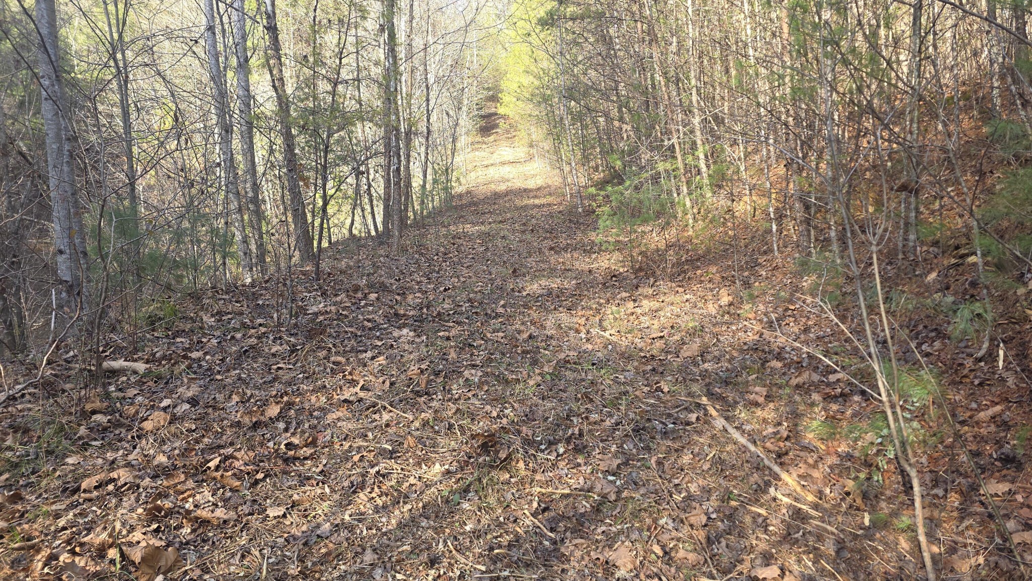 0 Bakers Creek Road Old Fort, TN 37362 - Photo 6 of 15