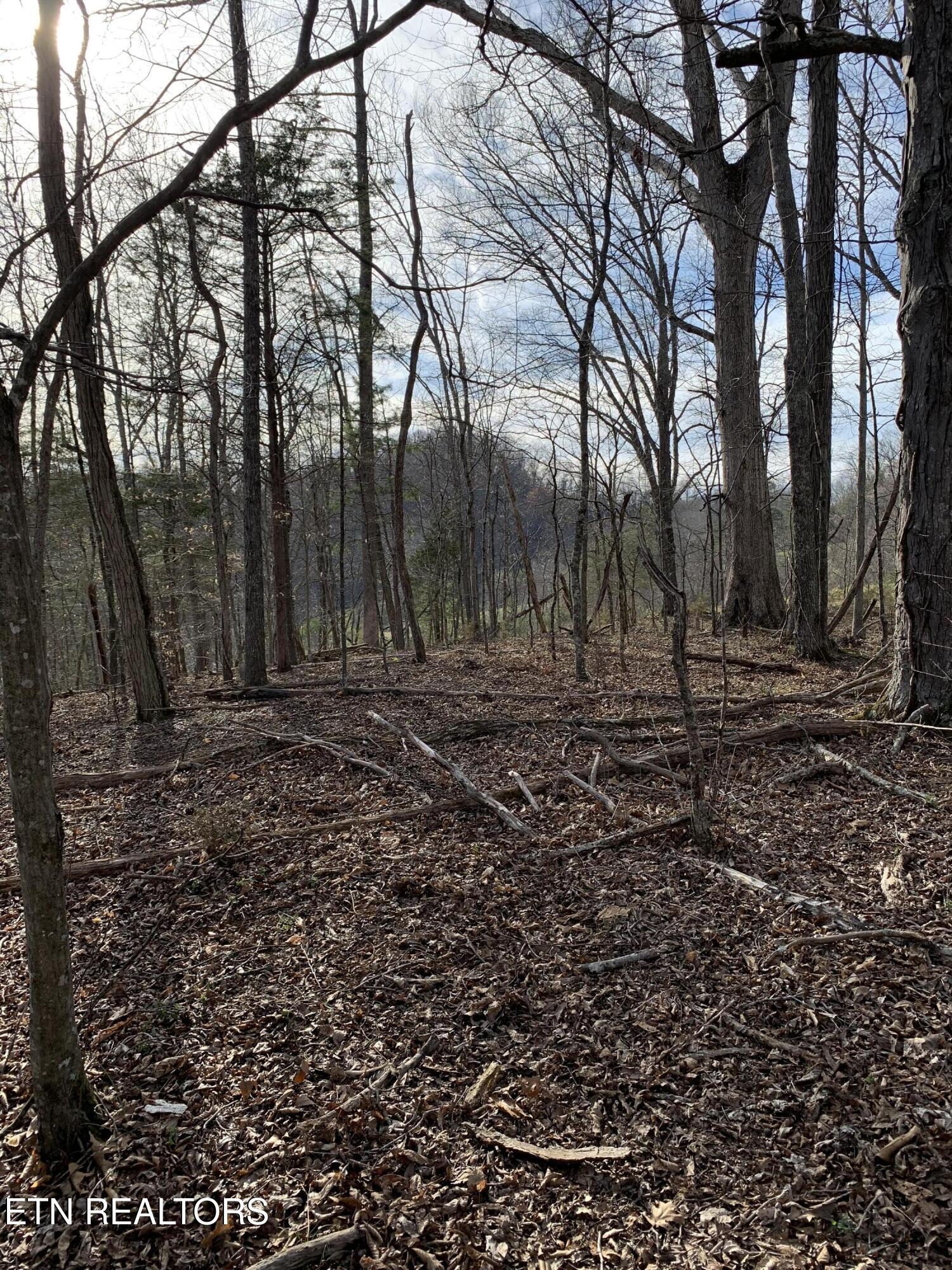 4.38-ac North Shiloh Road Seymour, TN 37865 - Photo 4 of 8 Build site