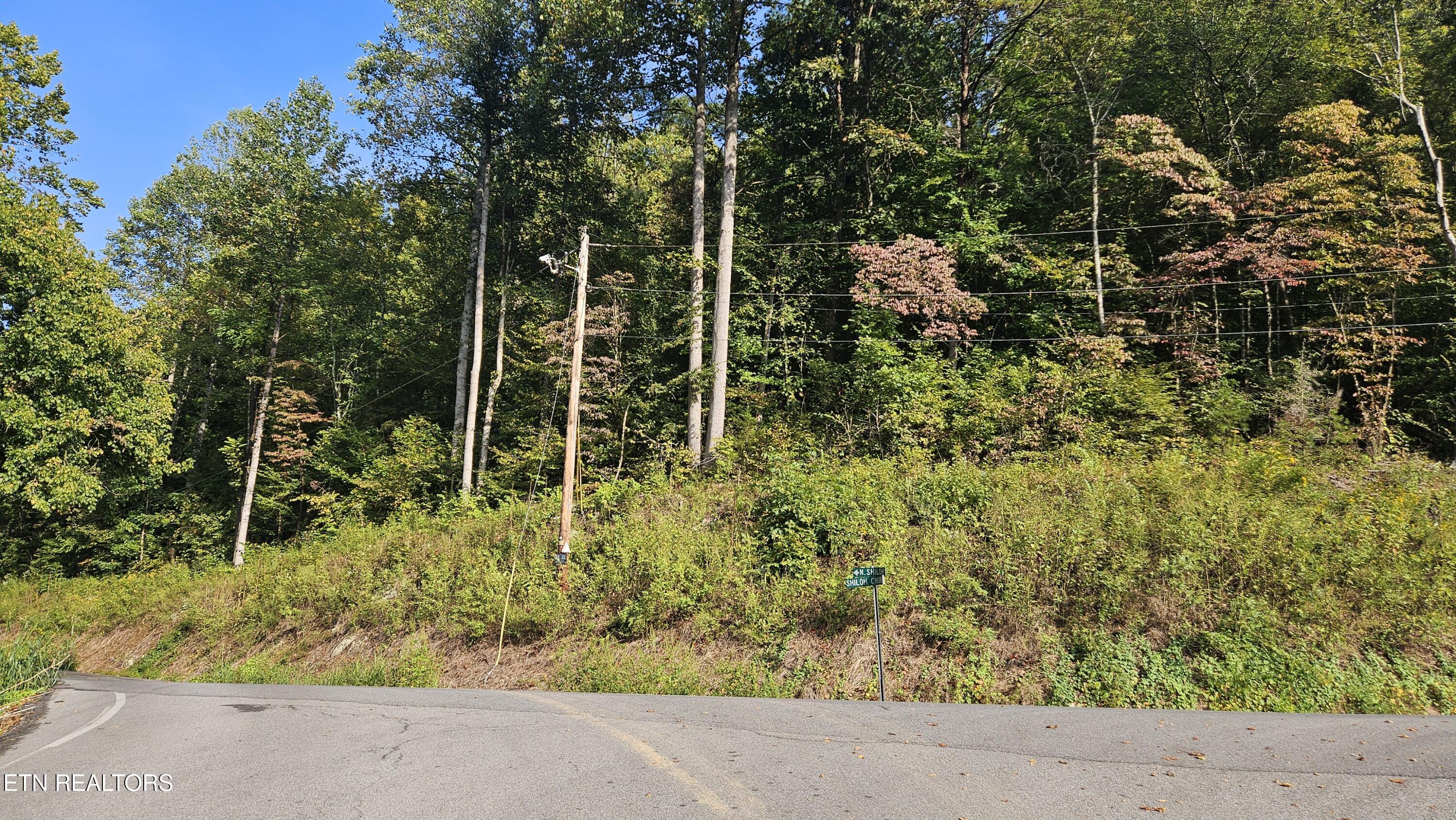 4.38-ac North Shiloh Road Seymour, TN 37865 - Photo 5 of 8 All