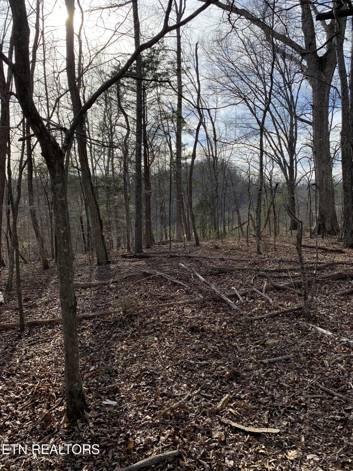 4.38-ac North Shiloh Road Seymour, TN 37865 - Photo 7 of 8 Site