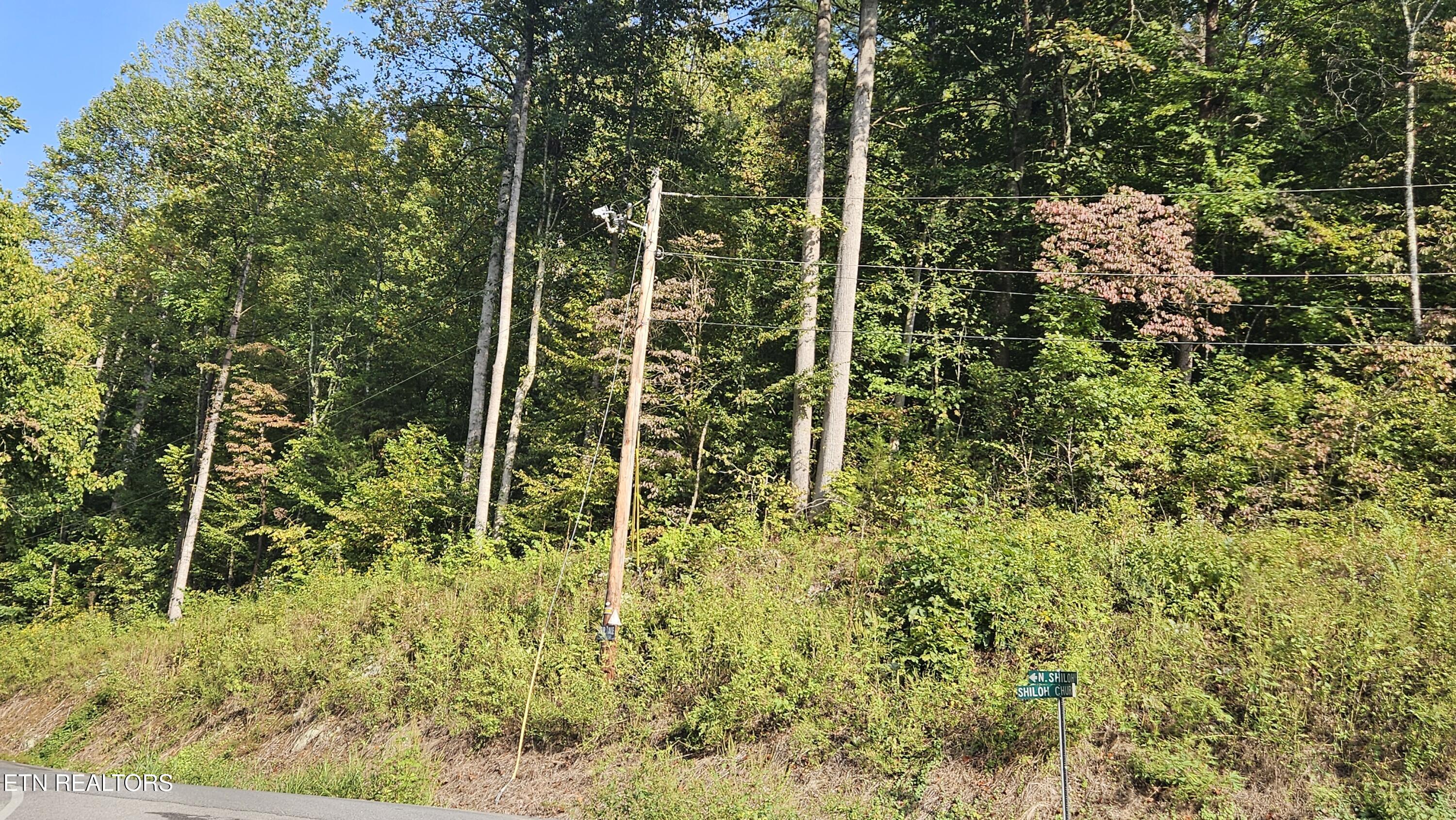 4.38-ac North Shiloh Road Seymour, TN 37865 - Photo 8 of 8 str