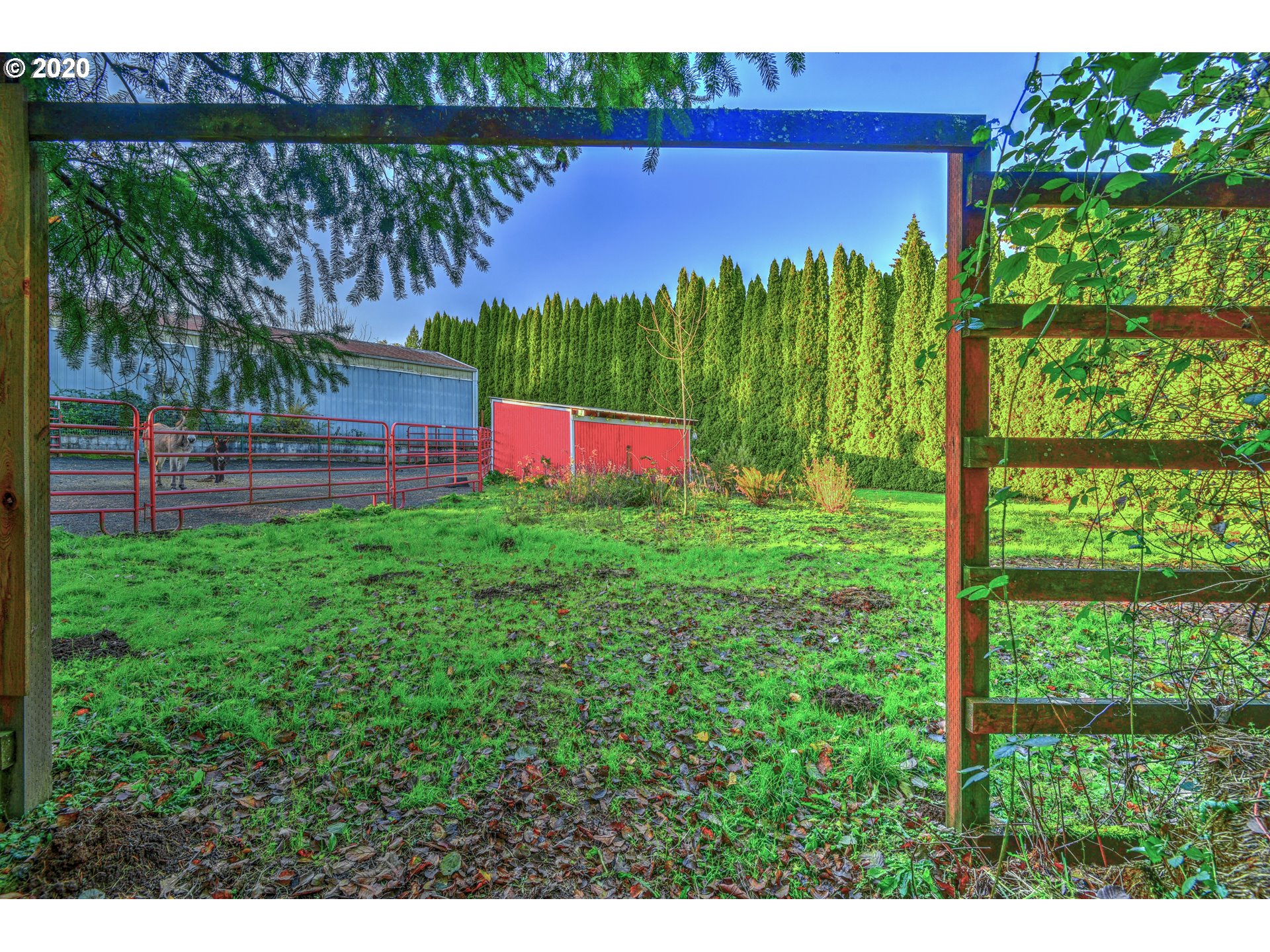 Gallery Image 6