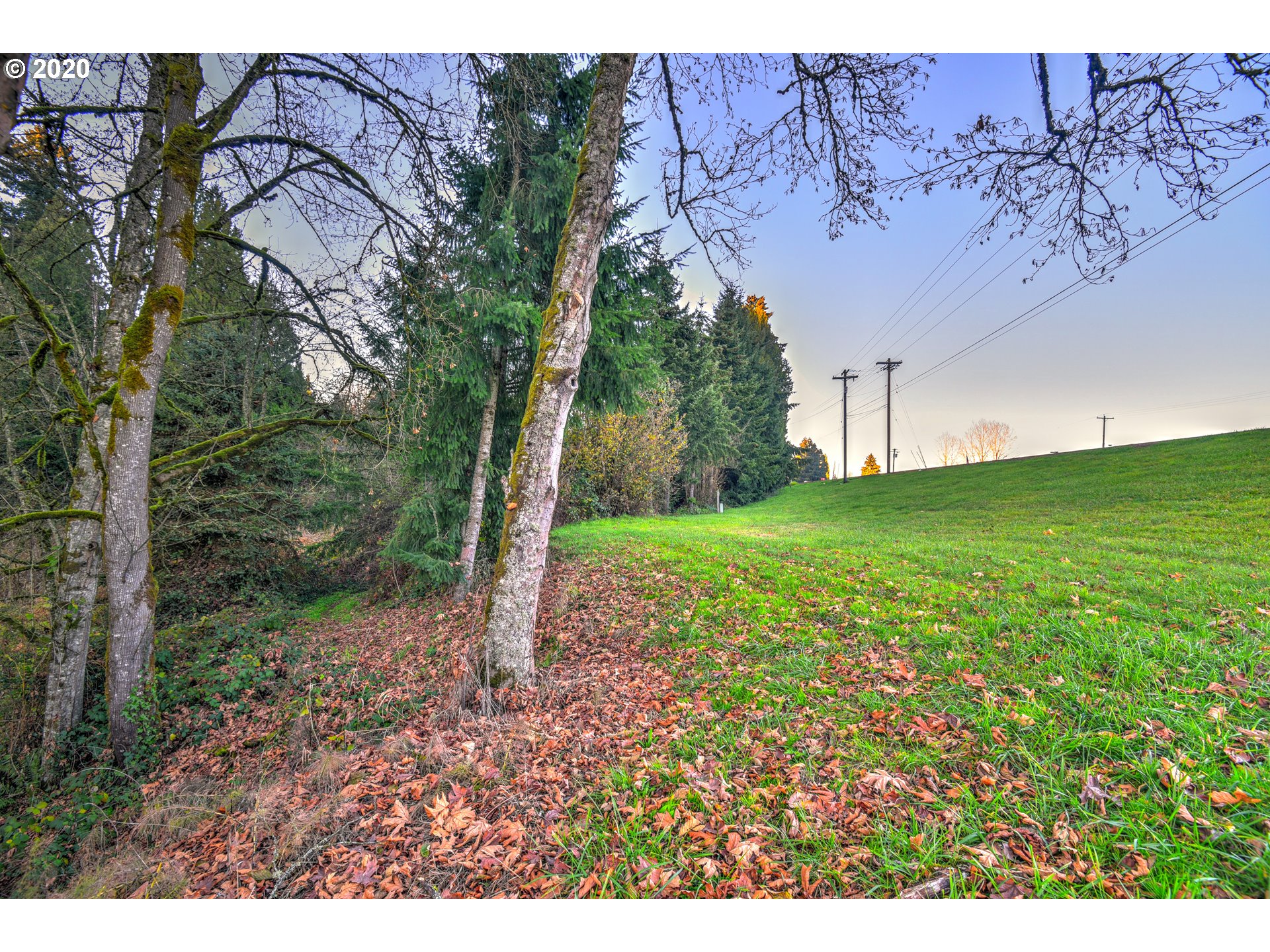 19230 Northwest Watson Road Scappoose, OR 97056 - Photo 10 of 30 Gallery Image 10