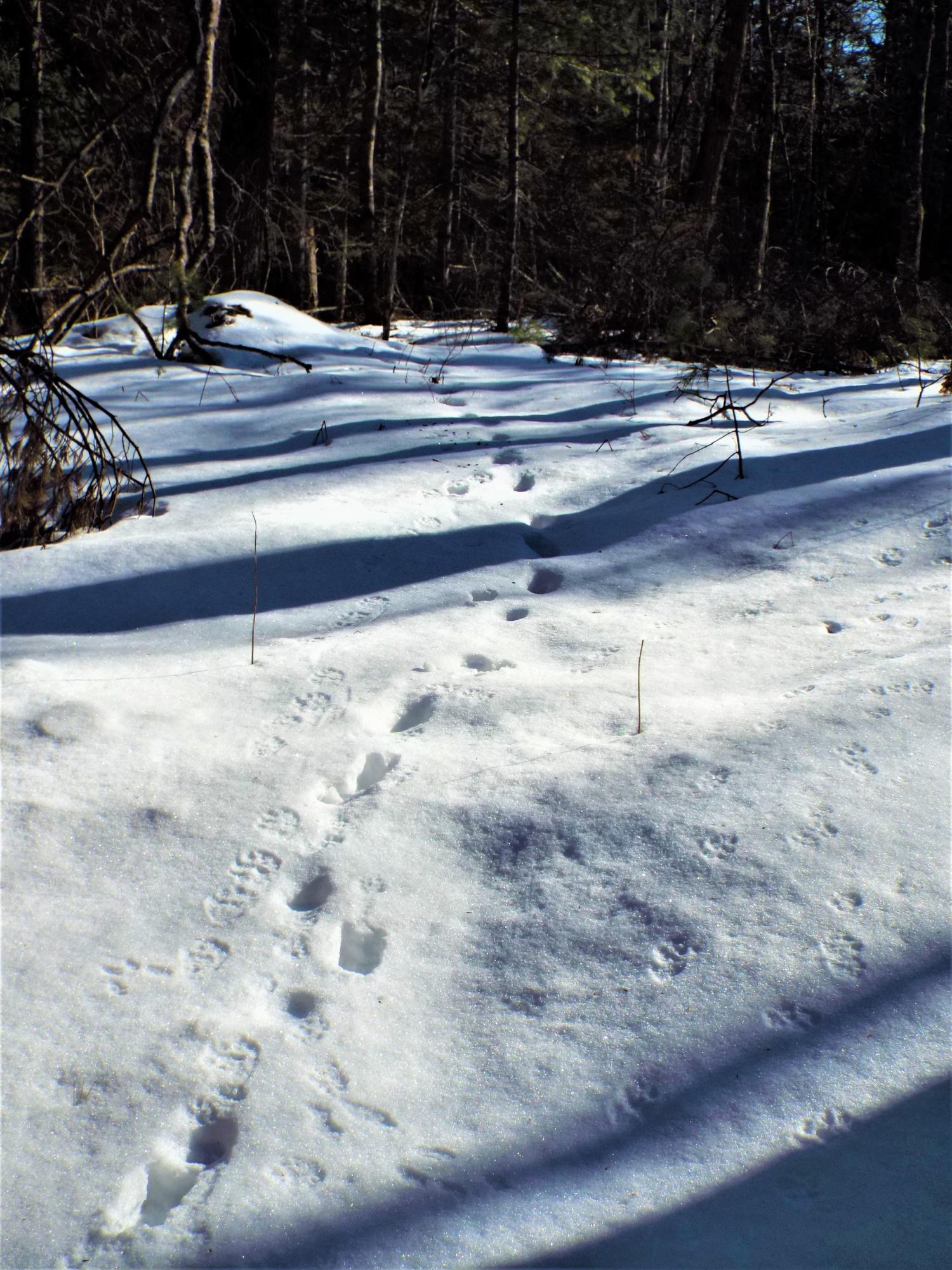 569 Middlesex Road Topsham, ME 04086 - Photo 9 of 17 9