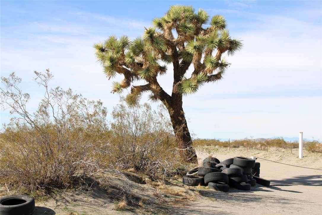 179940 Johnson Road Phelan, CA 92371 - Photo 14 of 14 a view of a lake with a mountain in the background