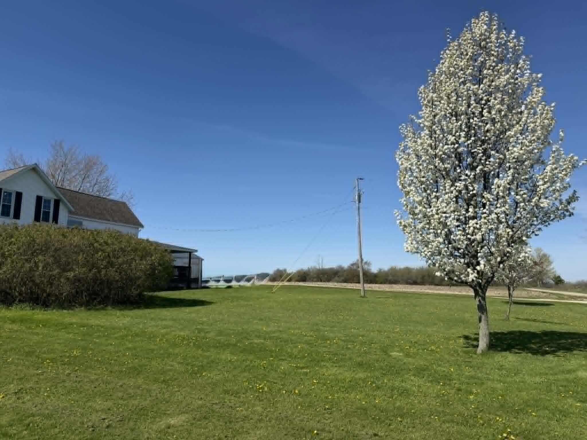 8377 Truman Road Evart, MI 49631 - Photo 12 of 95 2d5953dd-93e5-4ec8-94f6-76bdcc8d43c2