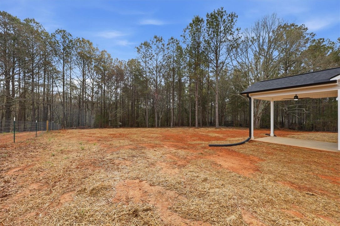 109 Toney Creek Road Belton, SC 29627 - Photo 31 of 38
