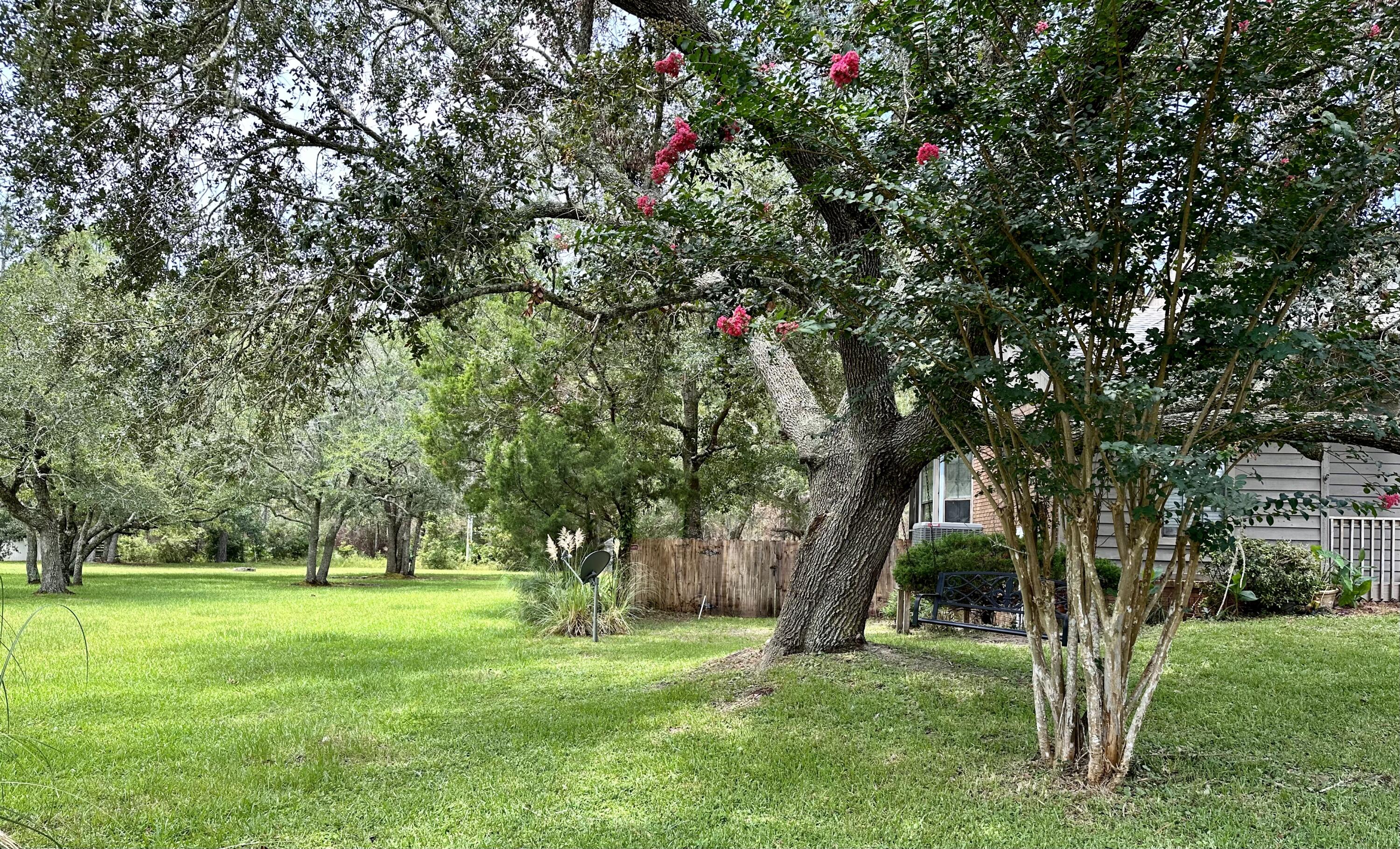 128 Dolphin Cove Freeport, FL 32439 - Photo 3 of 36 a green field with lots of trees