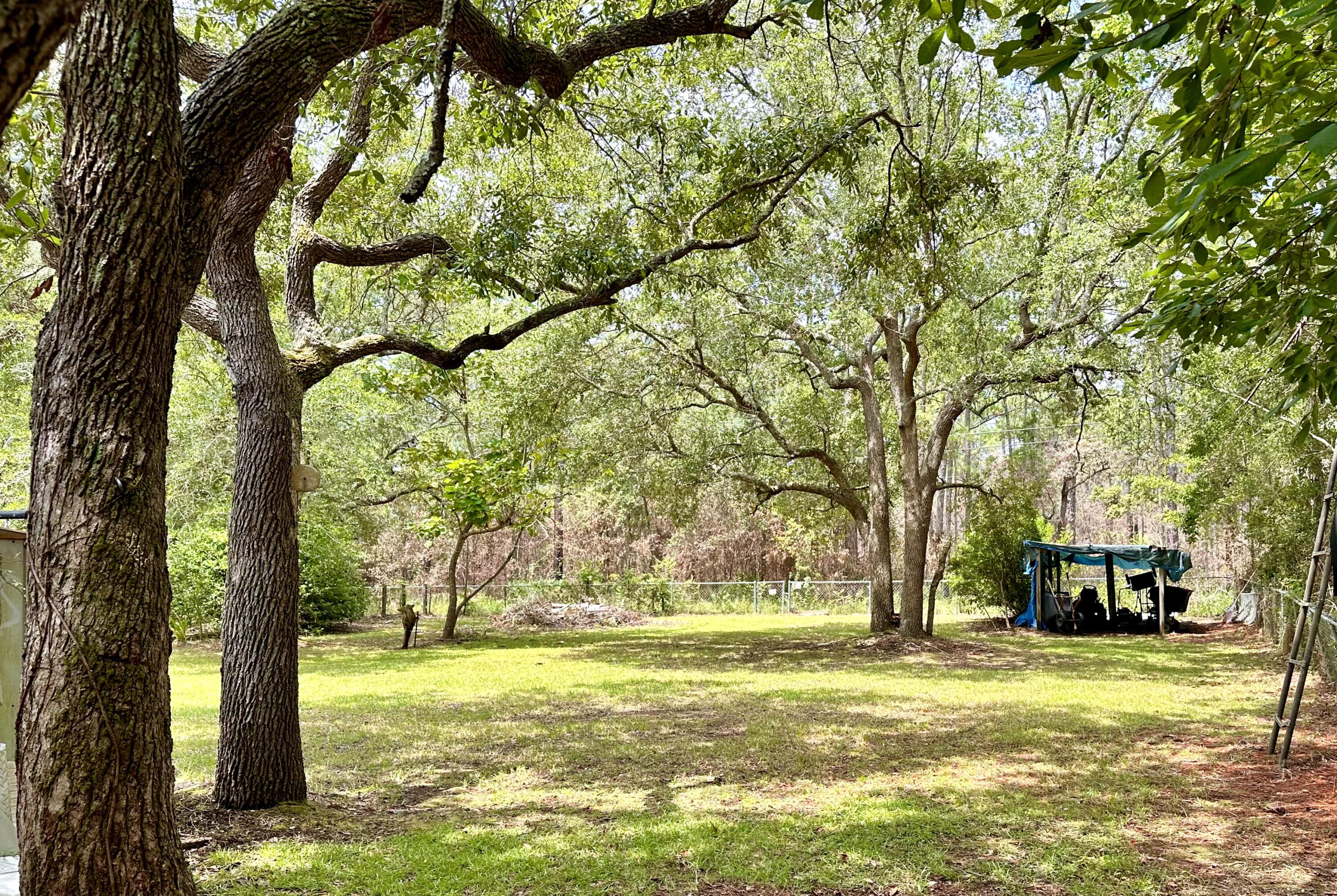 128 Dolphin Cove Freeport, FL 32439 - Photo 4 of 36 a view of a trees in a yard with large trees