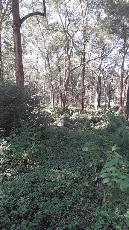 5314 Cucumber Street Sebring, FL 33875 - Photo 2 of 2 a view of outdoor space and trees