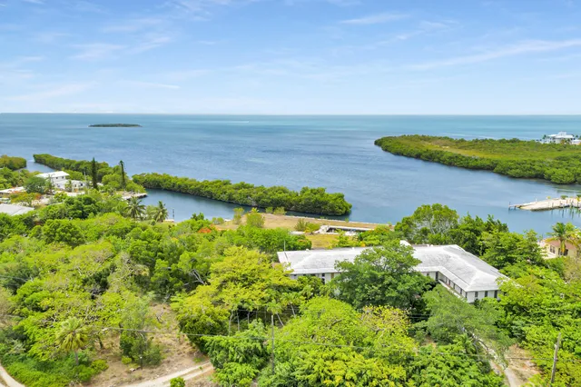 an aerial view of a houses with a lake view