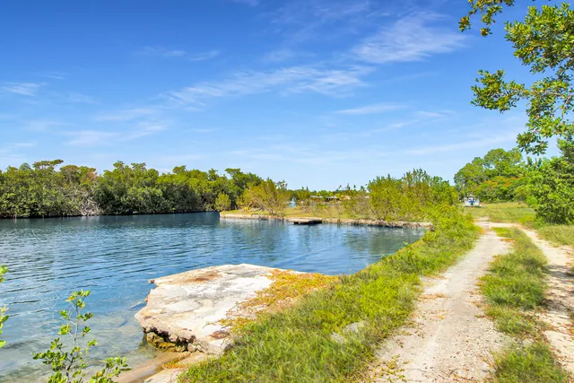 a view of a lake with houses in the back