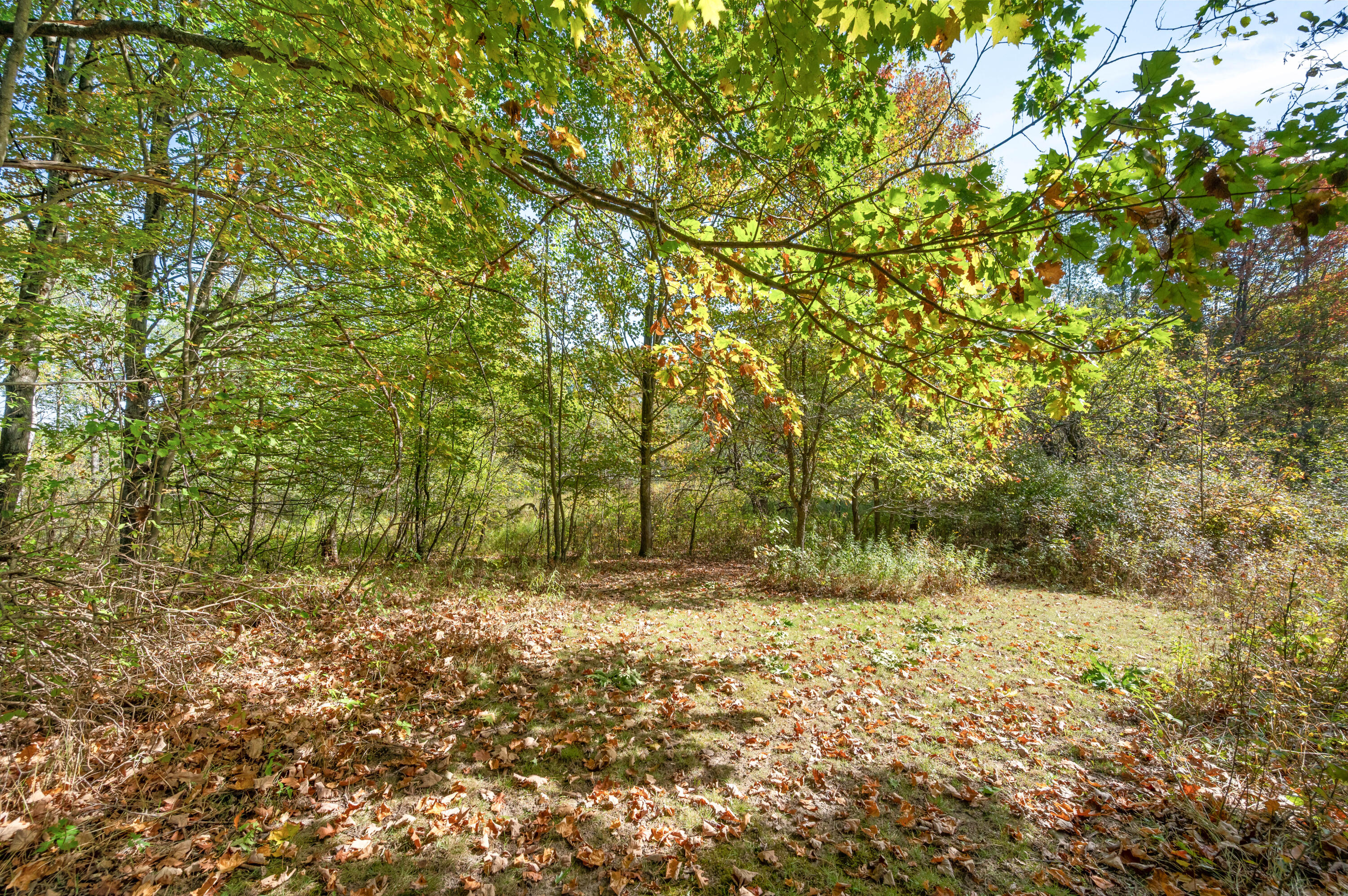 17239 13 Mile Road Leroy, MI 49655 - Photo 44 of 60 17239-13MileRd-LeRoy-39