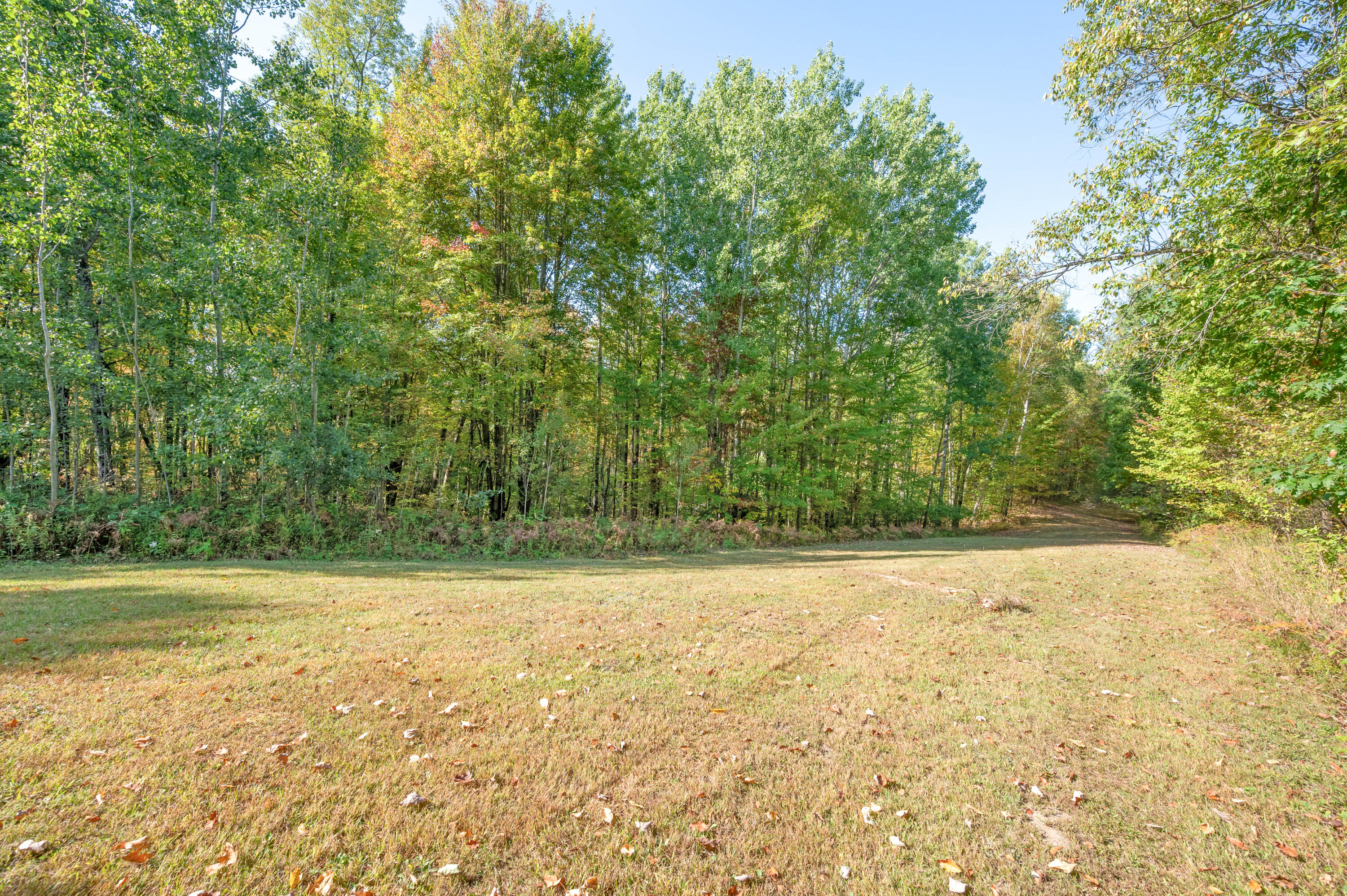 17239 13 Mile Road Leroy, MI 49655 - Photo 46 of 60 17239-13MileRd-LeRoy-41