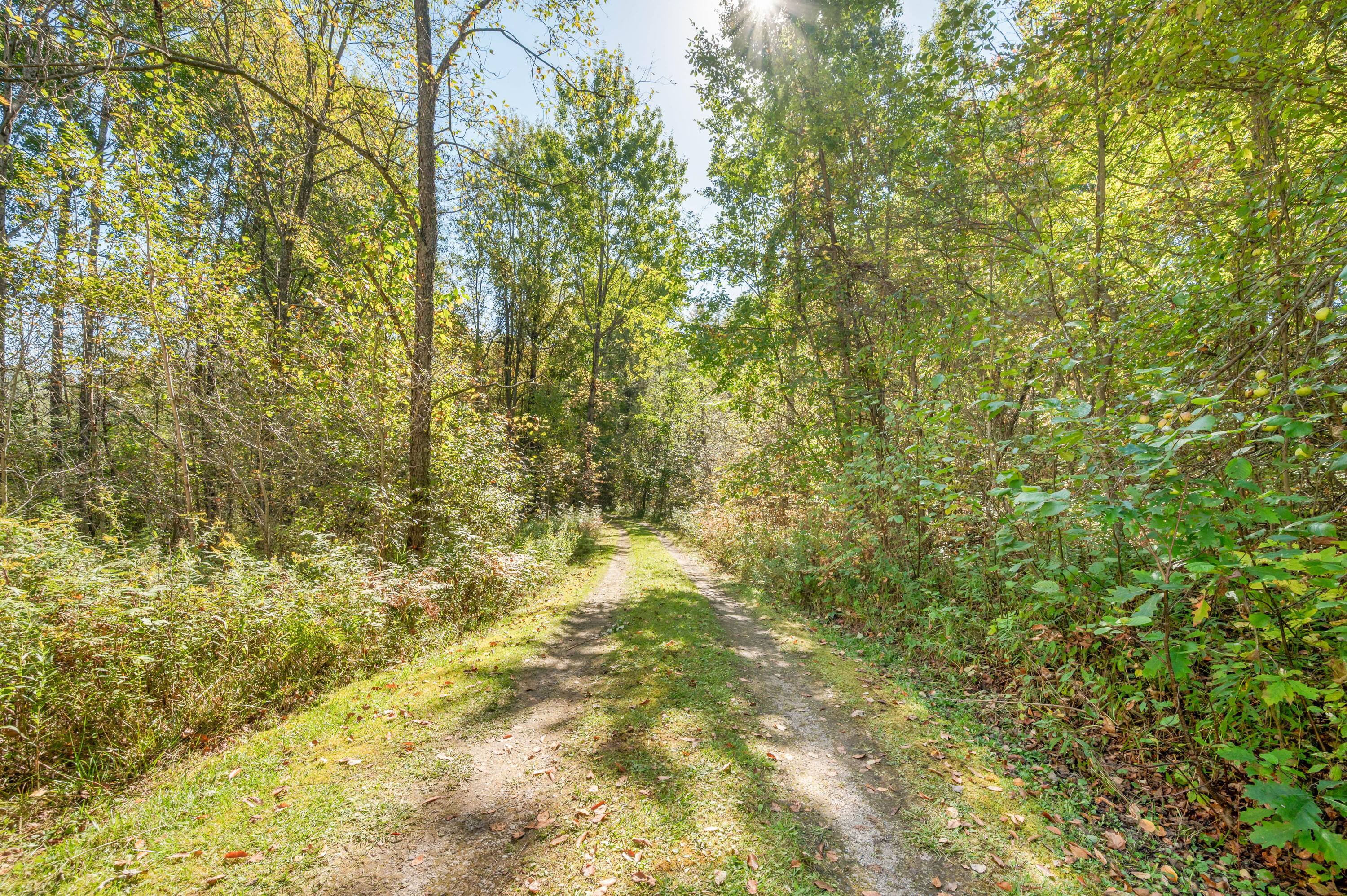 17239 13 Mile Road Leroy, MI 49655 - Photo 59 of 60 17239-13MileRd-LeRoy-67