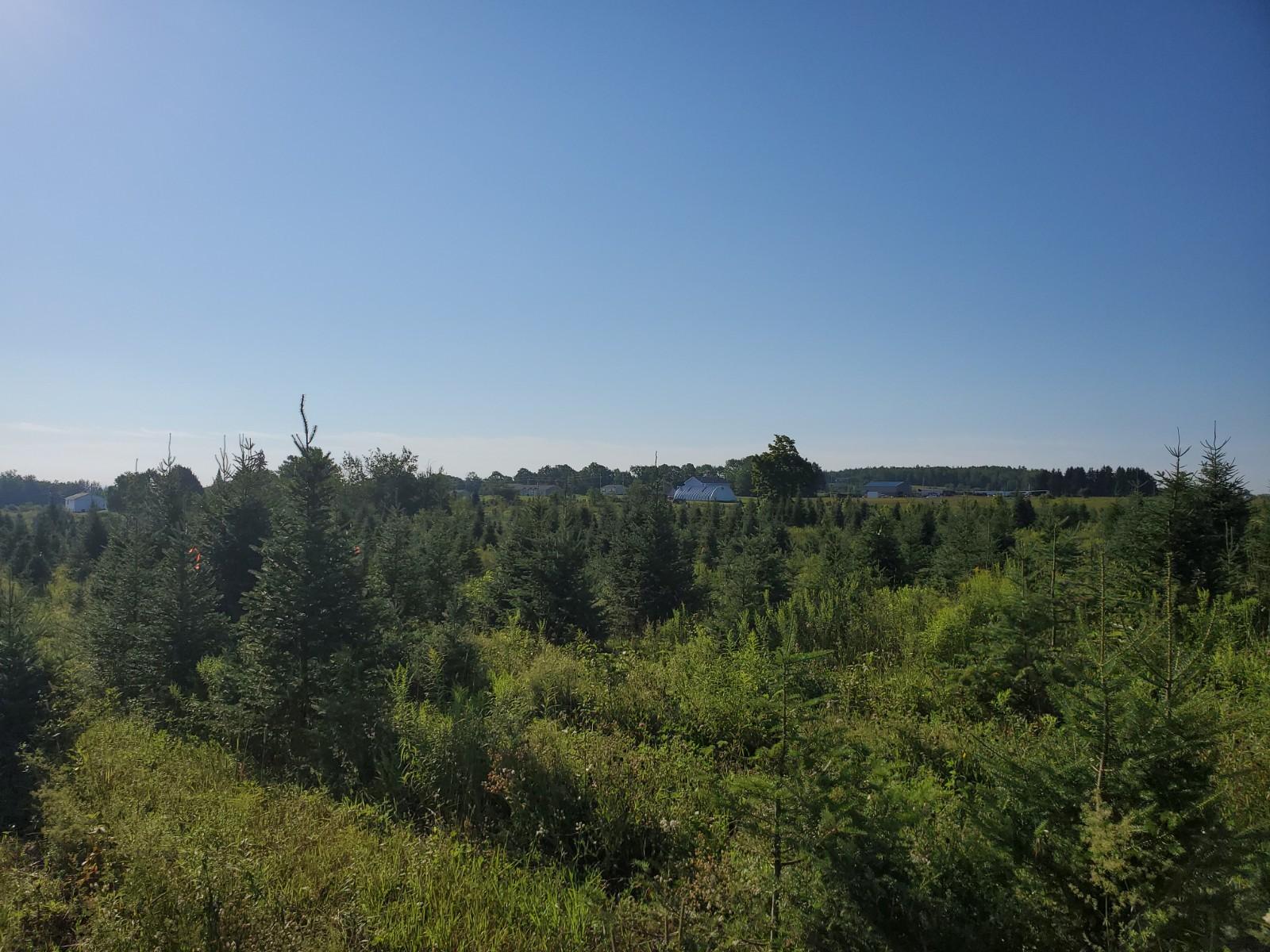 221 West Ridge Road Littleton, ME 04730 - Photo 8 of 10 20200729_075517
