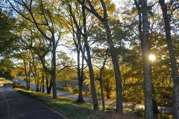 3111 Lewis Road Santa Fe, TN 38482 - Photo 2 of 40