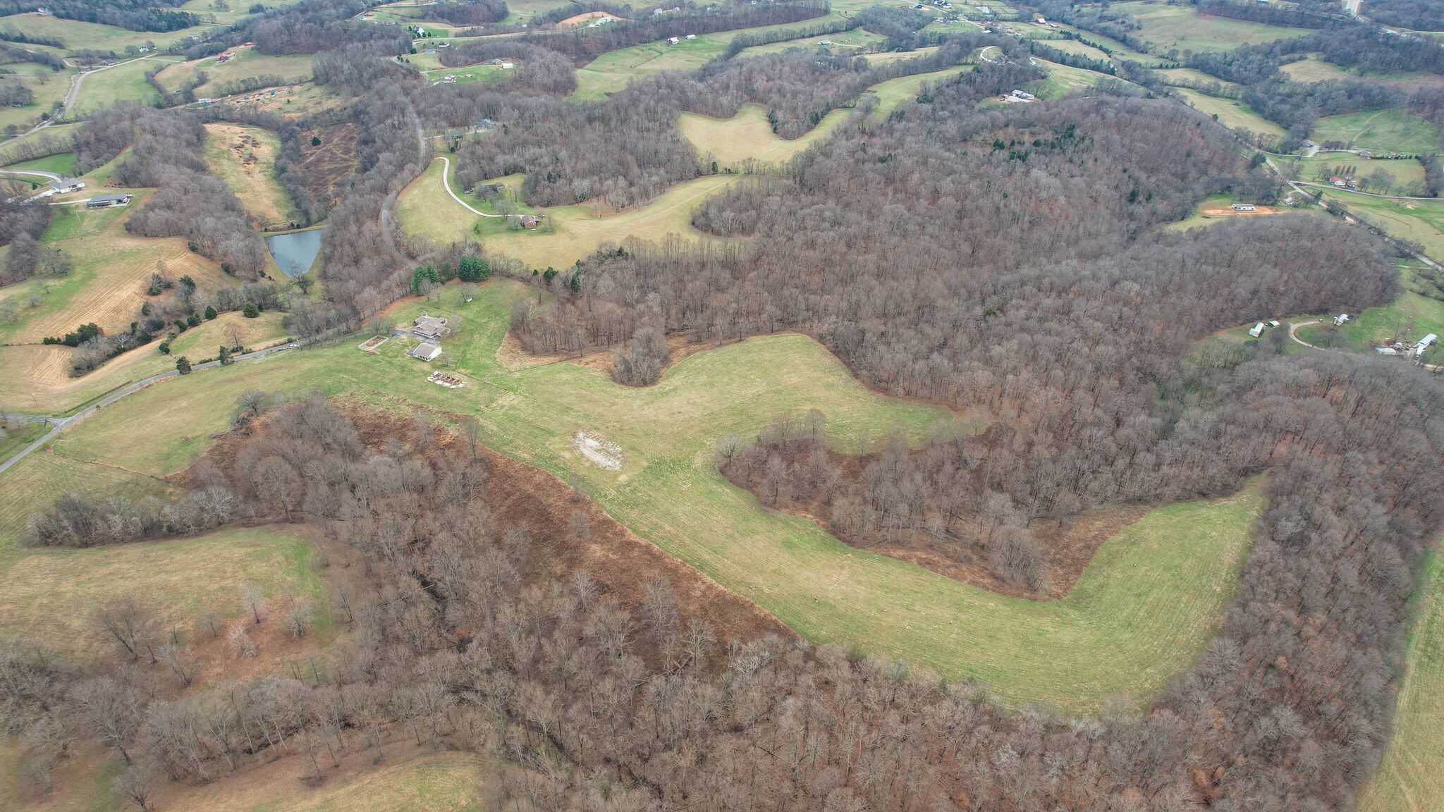 3111 Lewis Road Santa Fe, TN 38482 - Photo 38 of 40 a view of a yard