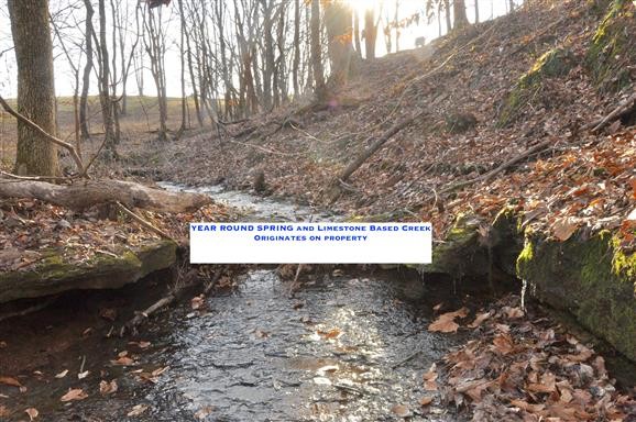 3111 Lewis Road Santa Fe, TN 38482 - Photo 4 of 40 a view of a dry yard with trees in the background