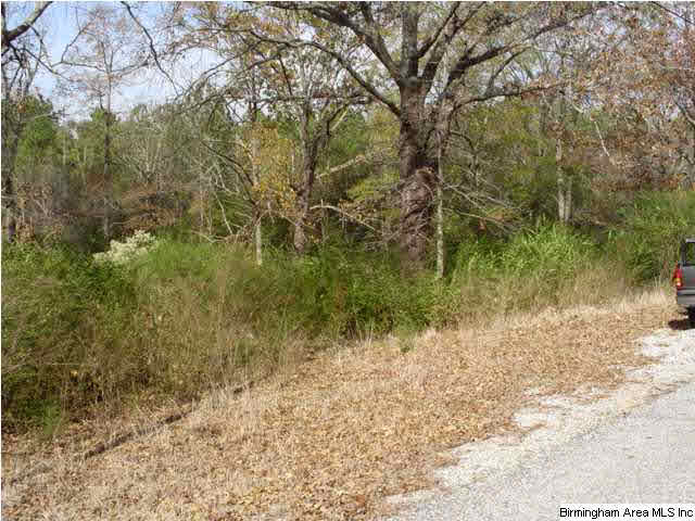 Eureka Road, Unit 1 8 Lincoln, AL 35096 - Photo 3 of 5