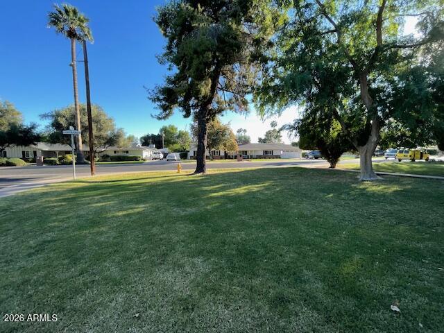 1302 West Hayward Avenue Phoenix, AZ 85021 - Photo 4 of 26 front yard